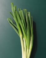 Kevätsipuli1