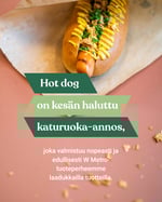 Hot dog IG post uusi