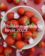 Poikkeusaikataulut-2023-mansikkakuva-1080x1350