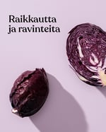 Raikkautta-ja-ravinteita-punakaali-1