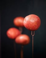 Rosamunda-1
