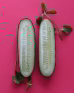 avomaakurkku1