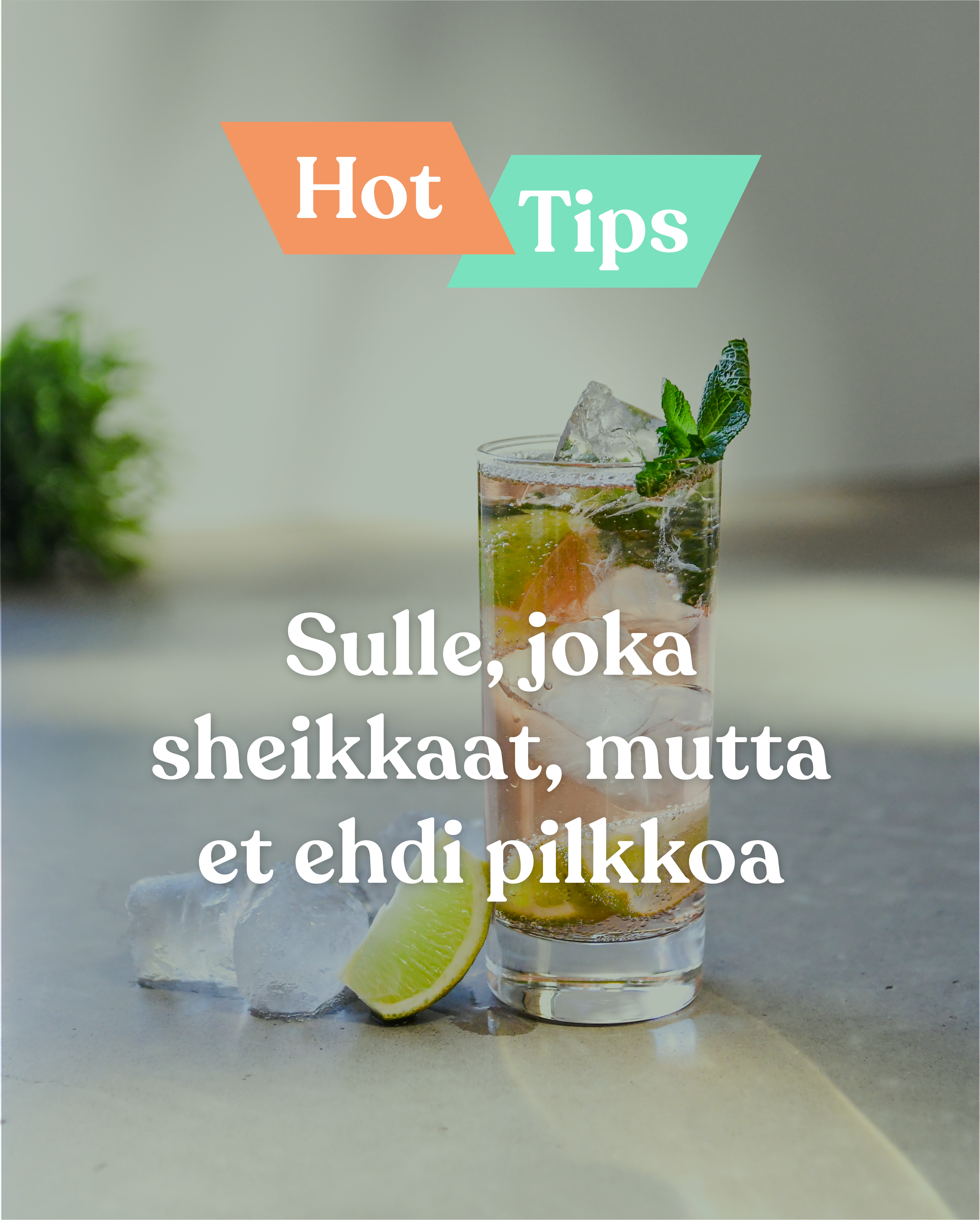 hot tips fresh cut 1